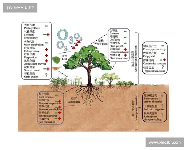 亚马尔半岛地理环境变化与生态系统影响研究新进展