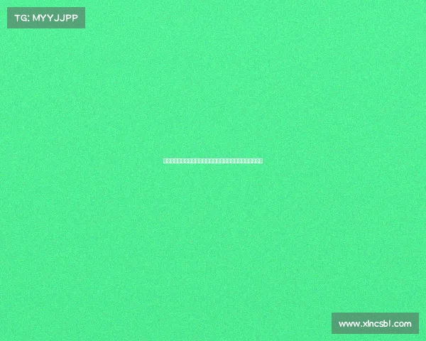 西甲国际比赛日：各国球员回归备战，聚焦欧洲顶级联赛新动态