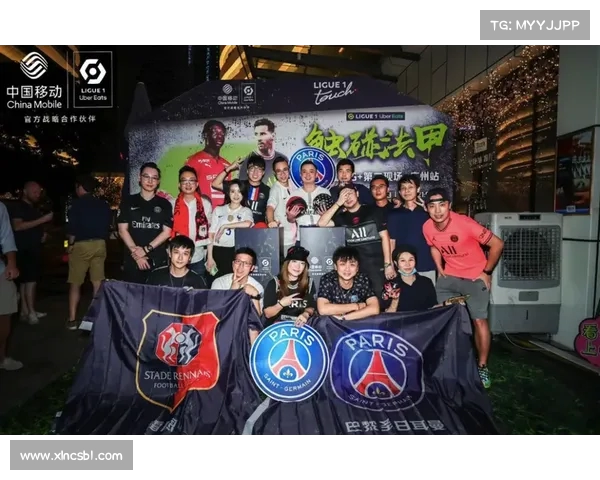 法甲球迷应援文化探索：激情与创意的交织与传承