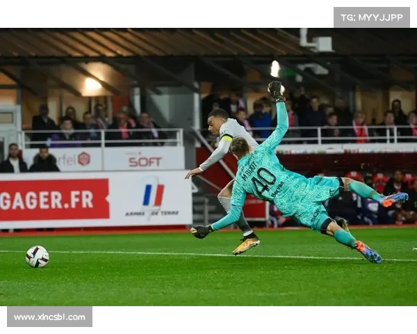 法甲外籍球员崛起之路如何改变法国足球格局与未来发展趋势 法甲外籍球员崛起之路如何改变法国足球格局与未来发展趋势