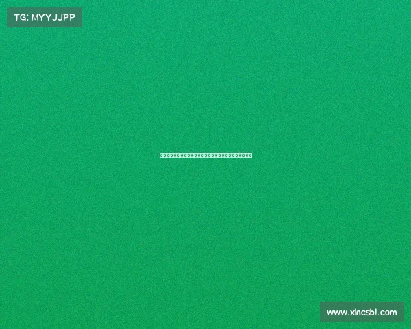 德甲战术演变与趋势分析：从高压防守到控球主导的变革探索